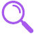 lupa icon