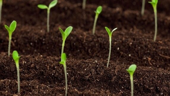 ile możesz zyskać inwestując regularnie