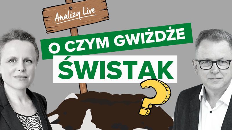 Analizy Live: O czym gwiżdże świstak?