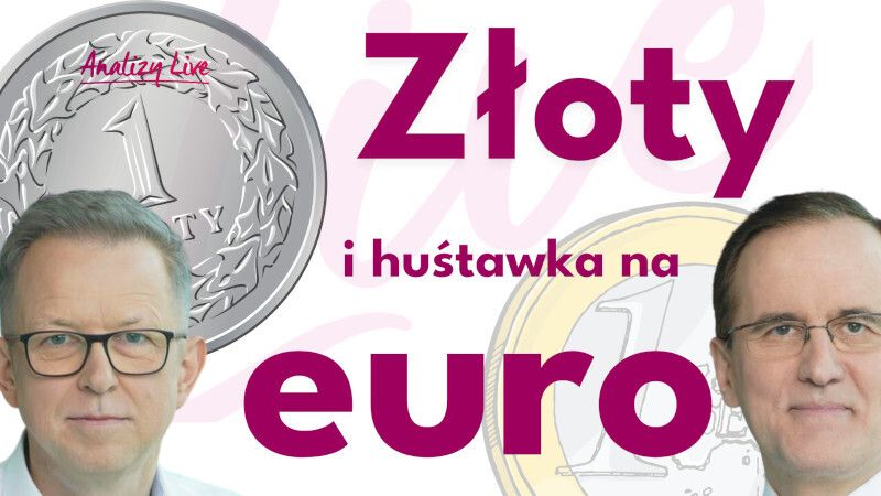 Analizy Live: Złoty i huśtawka na euro