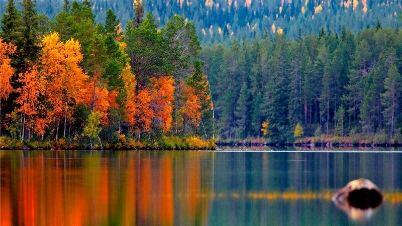 Fiński system emerytalny