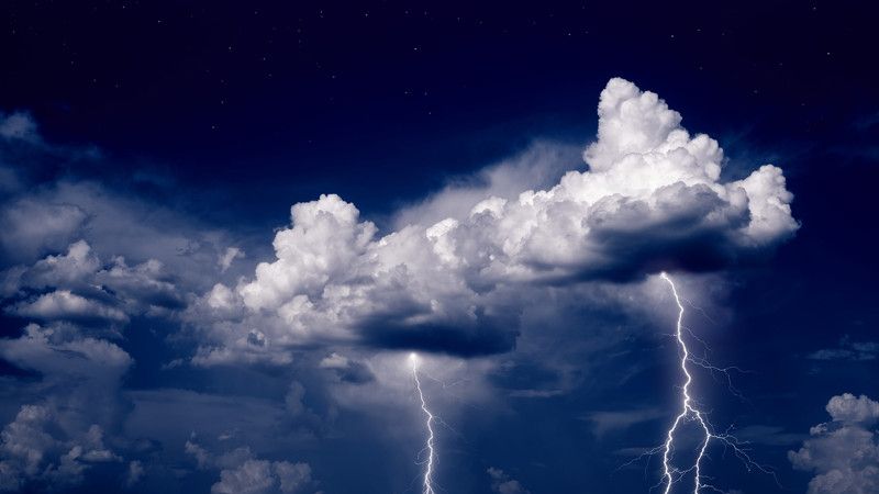 Chief Economists’ Outlook, Insigt report, prognozy, wrzesień 2025