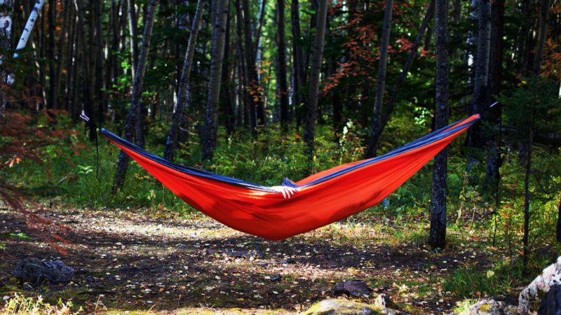 ludzie siedzą na hamaku w lesie