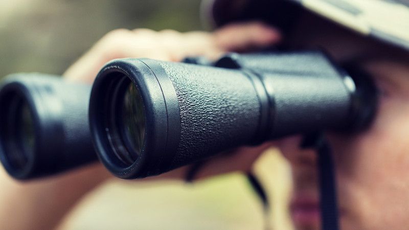 Trwa sezon wyników na światowych parkietach