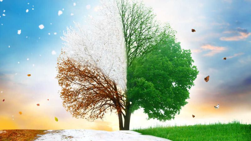 Cykl gospodarczy a pandemia