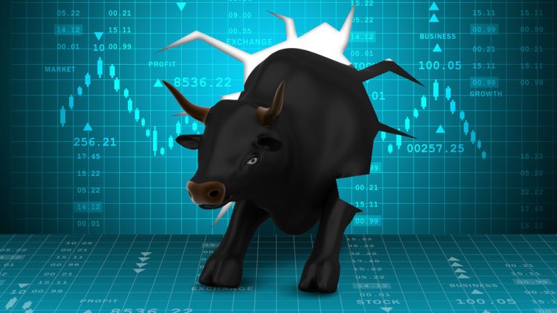 J. Niedzielewski: Giełdowe wstrząsy (korekty) nie powinny zagrozić hossie na Wall Street