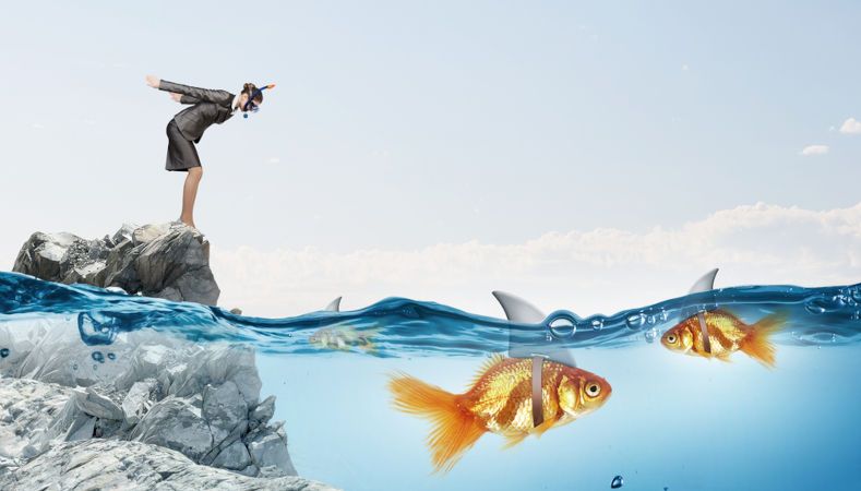 Jak panować nad strachem? Psychologia inwestora a zyski