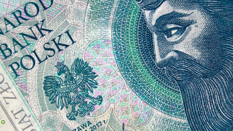 Musimy przyzwyczaić się do dłuższej słabości złotego