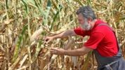 VanEck uruchamia ETF na globalny agrobiznes