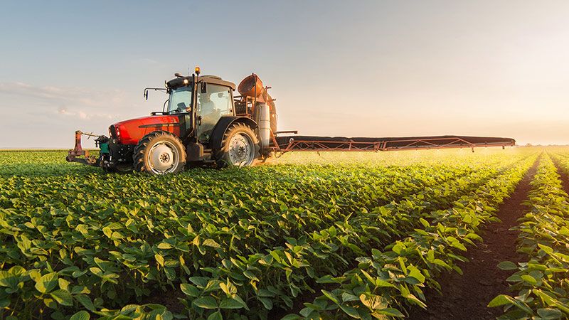 Zrównoważona żywność i woda - dlaczego obecny system wymaga zmian