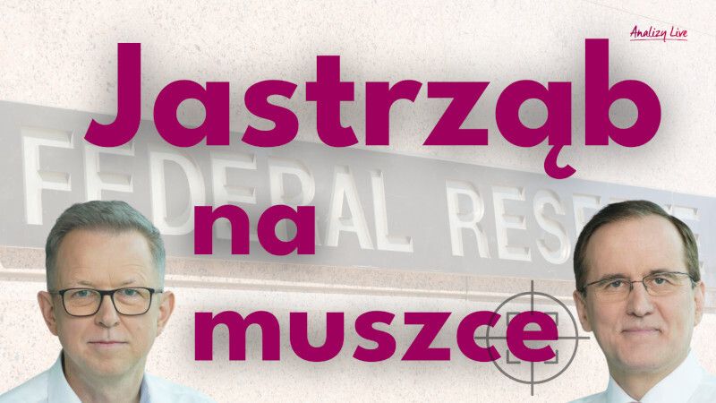 Analizy Live: Jastrząb na muszce