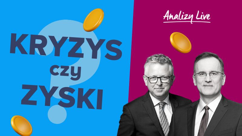 Kryzys czy zyski?