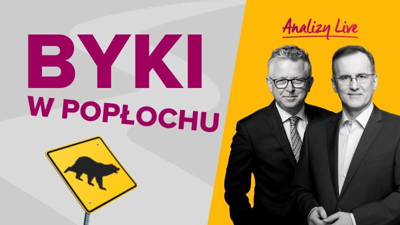 Byki w popłochu