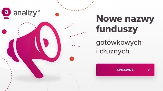 szyld analiz online z megafonem