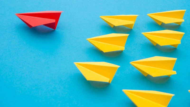 Efektywność zarządzania w PPK