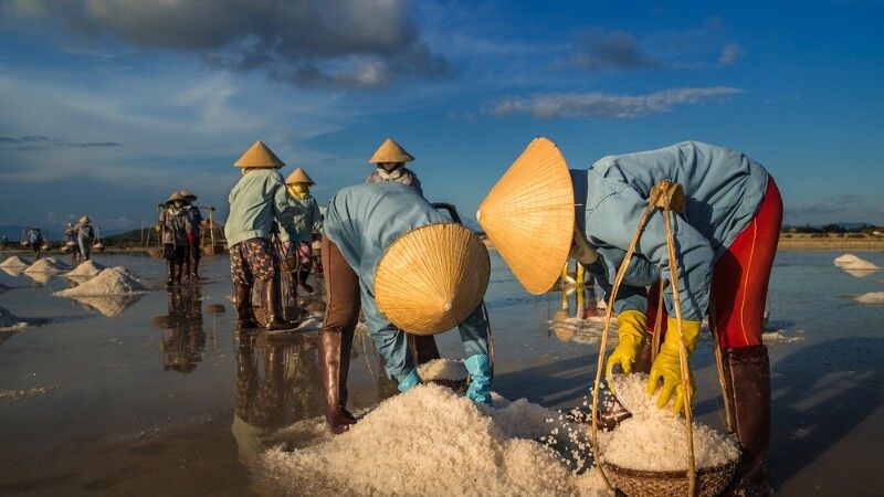 luedzie zbierają ryż