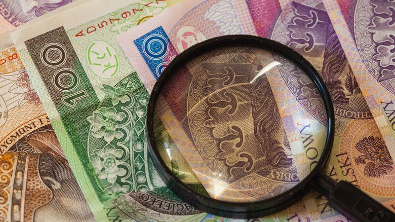 lupa na polskich banknotach
