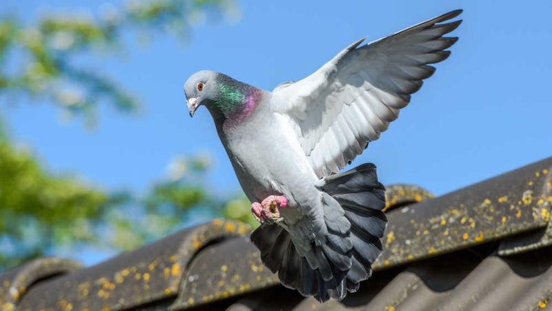 Fidelity: Jest za wcześnie, by oczekiwać "miękkiego lądowania"