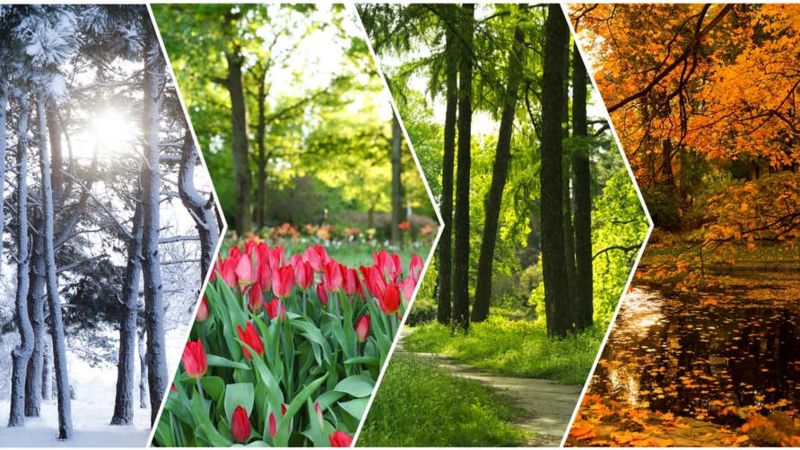 Lokaty na 3 miesiące, lokaty na sześć miesięcy czerwiec 2024