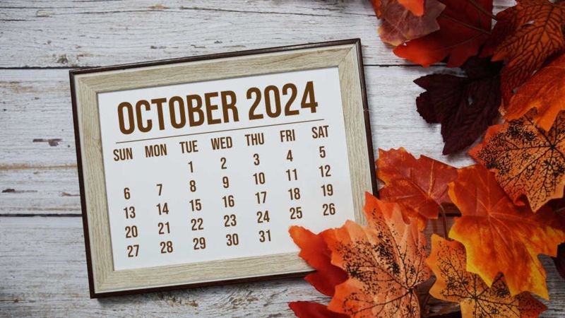 Podsumowanie tygodnia na rynkach (2024-10-31)