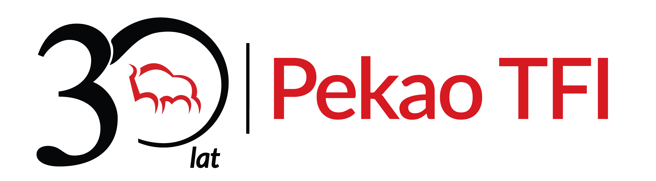 Logo sponsora