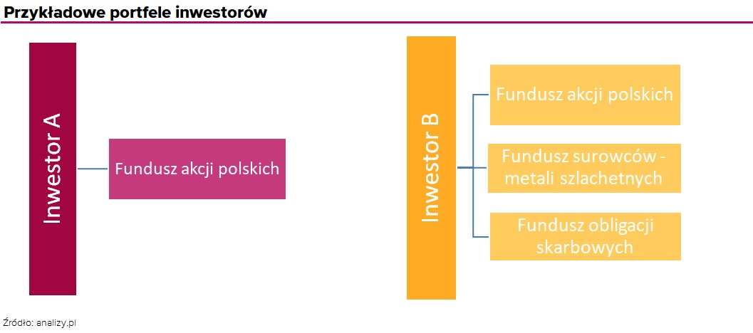 dywersyfikacja - przykładowe portfele inwestorów