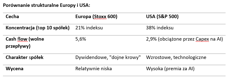 Porównanie spółek europejskich i USA